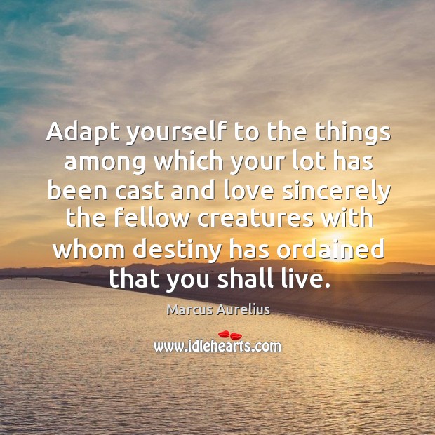 Adapt yourself to the things among which your lot has been cast and love sincerely Marcus Aurelius Picture Quote