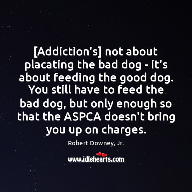 [Addiction’s] not about placating the bad dog – it’s about feeding the Robert Downey, Jr. Picture Quote
