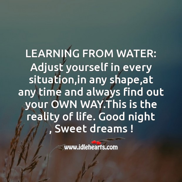 Adjust yourself in every situation Good Night Quotes Image