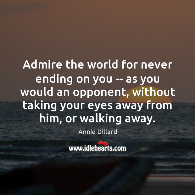 Admire the world for never ending on you — as you would Annie Dillard Picture Quote