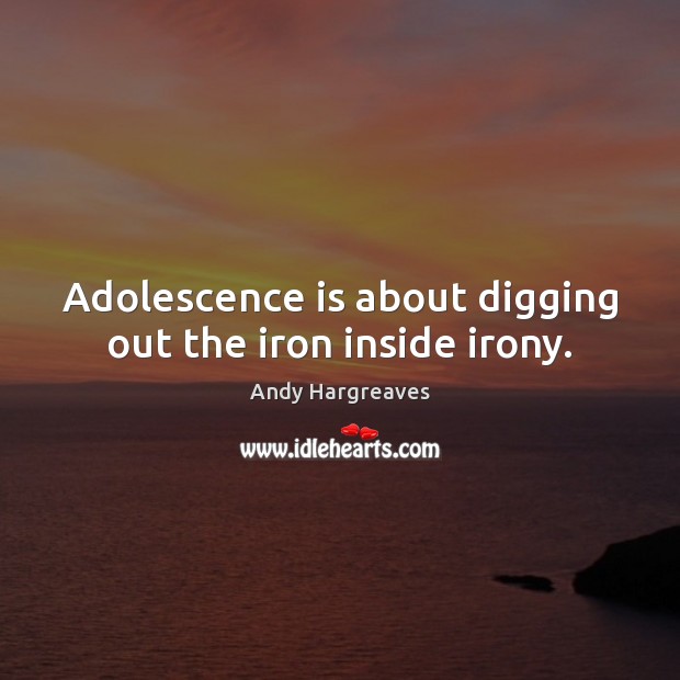 Adolescence is about digging out the iron inside irony. Andy Hargreaves Picture Quote