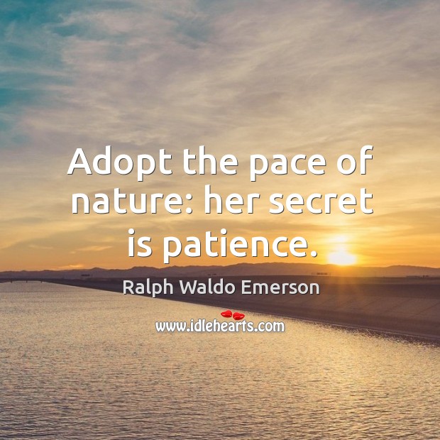 Adopt the pace of nature: her secret is patience. Image