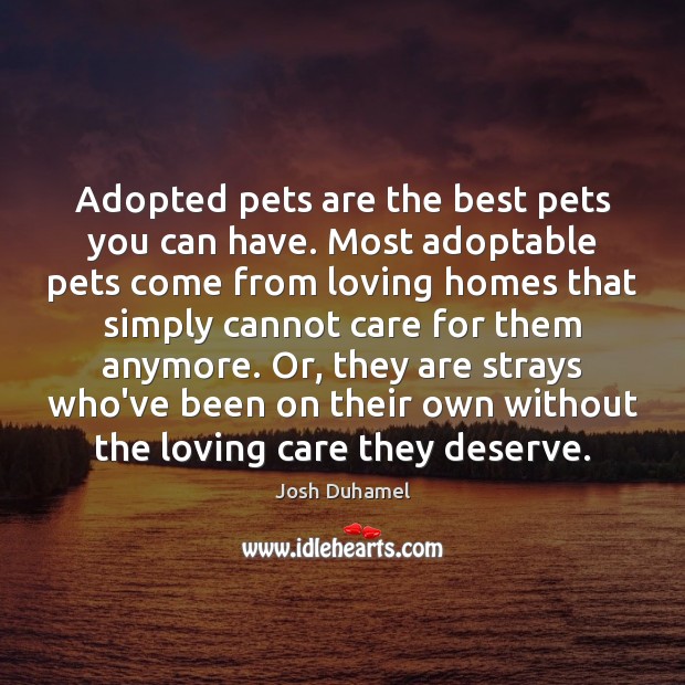 Adopted pets are the best pets you can have. Most adoptable pets Image