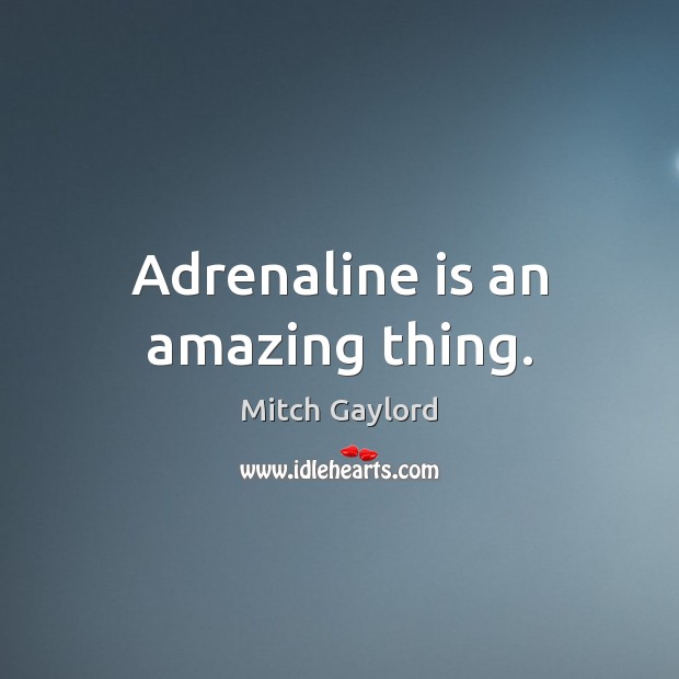 Adrenaline is an amazing thing. Image