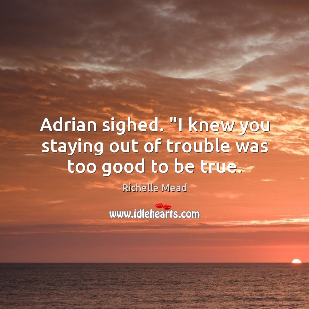 Adrian sighed. “I knew you staying out of trouble was too good to be true. Too Good To Be True Quotes Image
