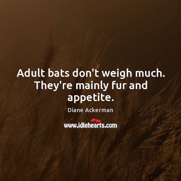 Adult bats don’t weigh much. They’re mainly fur and appetite. Diane Ackerman Picture Quote