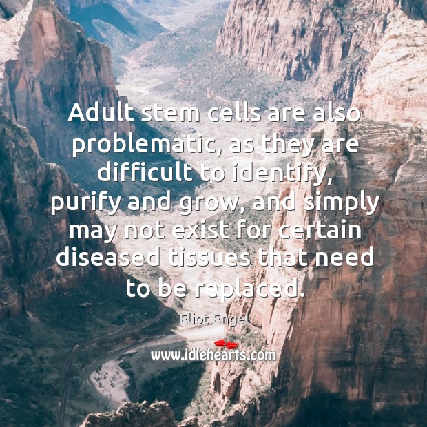 Adult stem cells are also problematic, as they are difficult to identify, purify and grow Eliot Engel Picture Quote