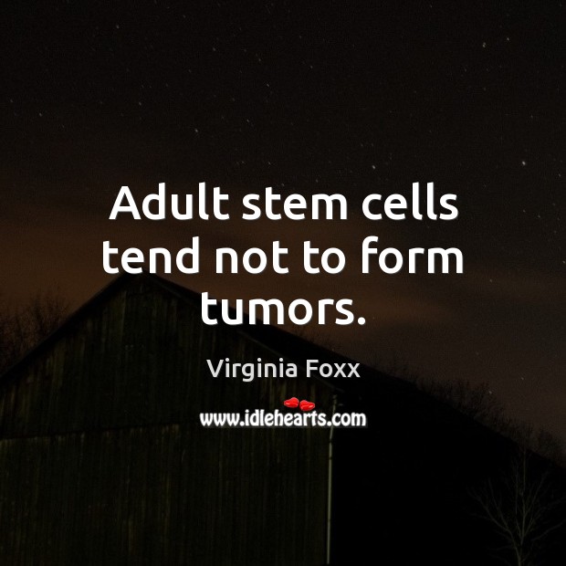 Adult stem cells tend not to form tumors. Virginia Foxx Picture Quote