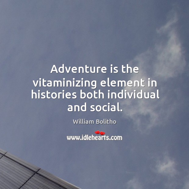 Adventure is the vitaminizing element in histories both individual and social. William Bolitho Picture Quote