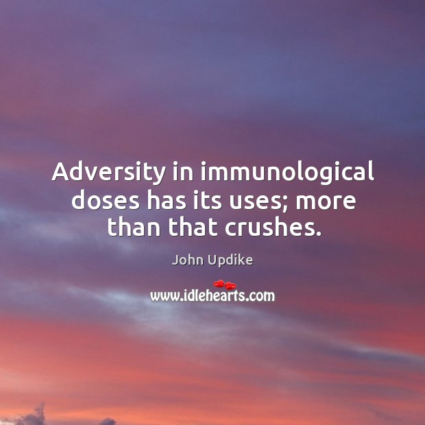 Adversity in immunological doses has its uses; more than that crushes. John Updike Picture Quote