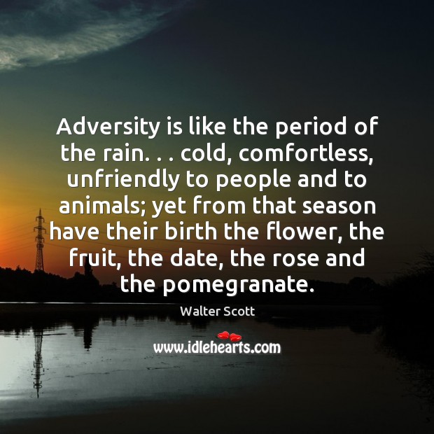 Adversity is like the period of the rain. . . cold, comfortless, unfriendly to Walter Scott Picture Quote