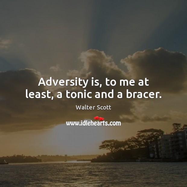 Adversity is, to me at least, a tonic and a bracer. Image