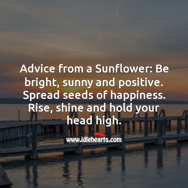 Advice from a Sunflower: Be bright, sunny and positive. Inspirational Quotes Image