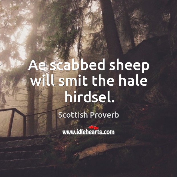 Ae scabbed sheep will smit the hale hirdsel. Scottish Proverbs Image