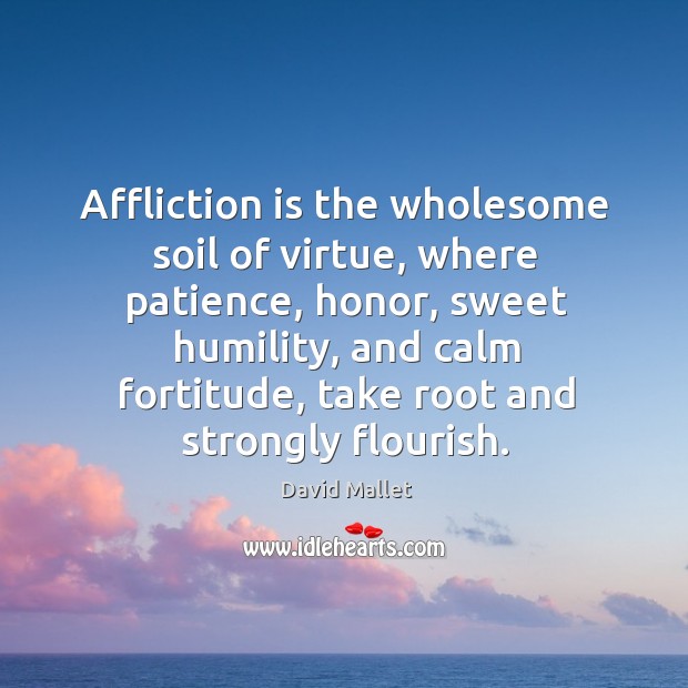 Affliction is the wholesome soil of virtue, where patience David Mallet Picture Quote