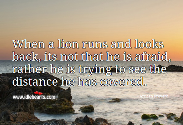 When a lion runs and looks back, its not that he is afraid, rather he is trying to see the distance he has covered. African Proverbs Image