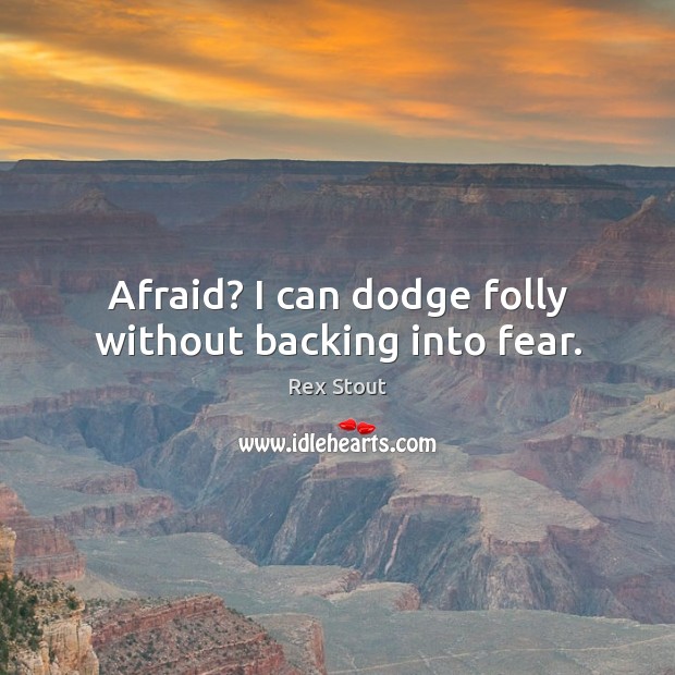 Afraid? I can dodge folly without backing into fear. Rex Stout Picture Quote