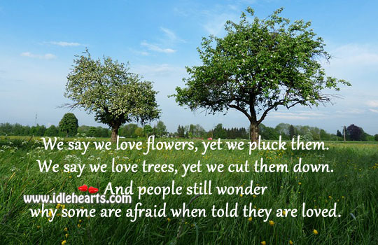 We are afraid when told we are loved. People Quotes Image