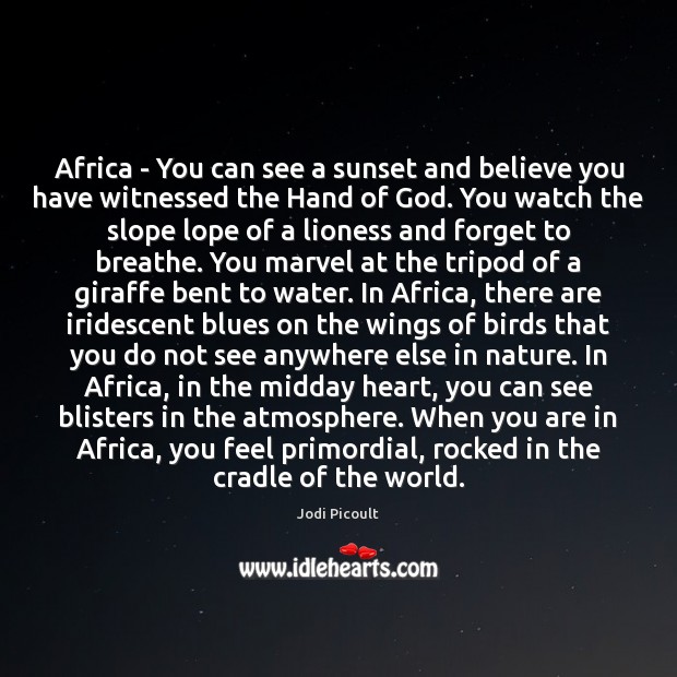 Africa – You can see a sunset and believe you have witnessed Image