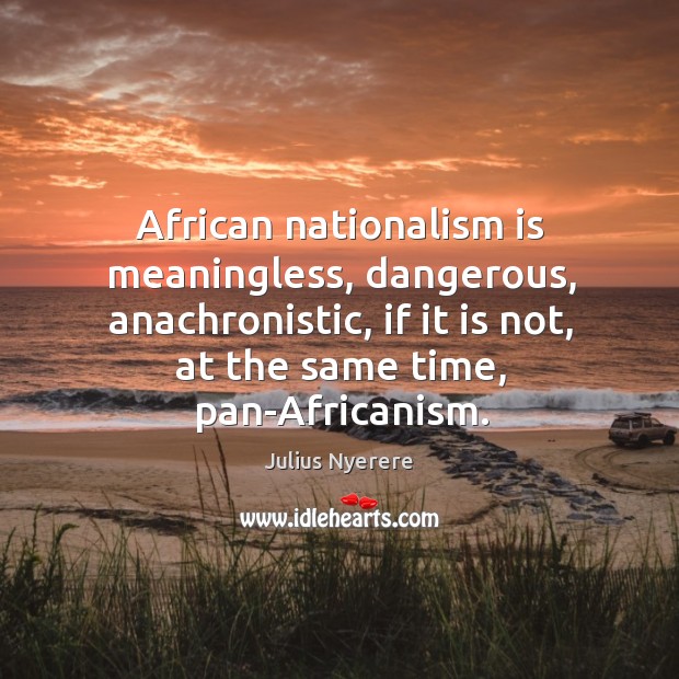 African nationalism is meaningless, dangerous, anachronistic Image