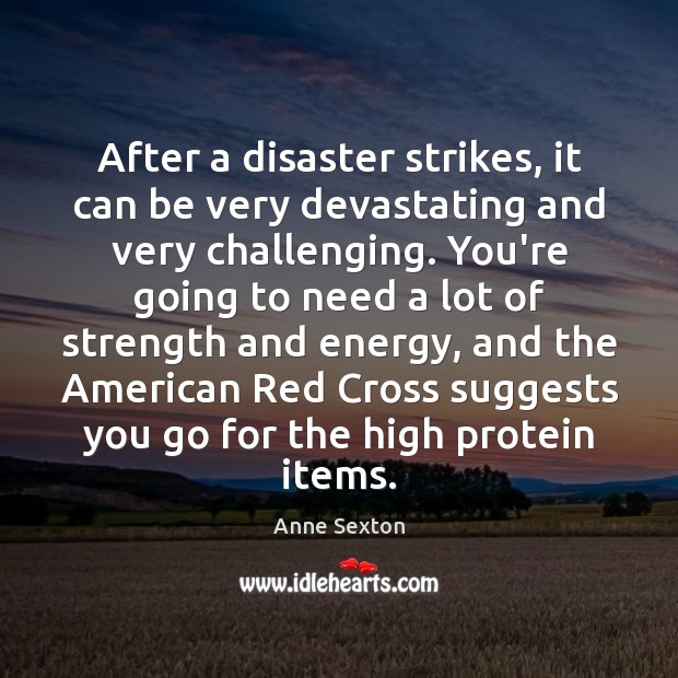 After a disaster strikes, it can be very devastating and very challenging. Anne Sexton Picture Quote