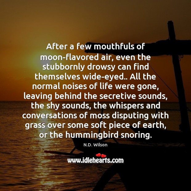 After a few mouthfuls of moon-flavored air, even the stubbornly drowsy can N.D. Wilson Picture Quote