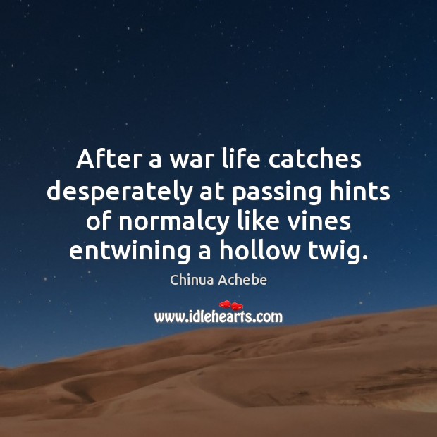 After a war life catches desperately at passing hints of normalcy like Chinua Achebe Picture Quote