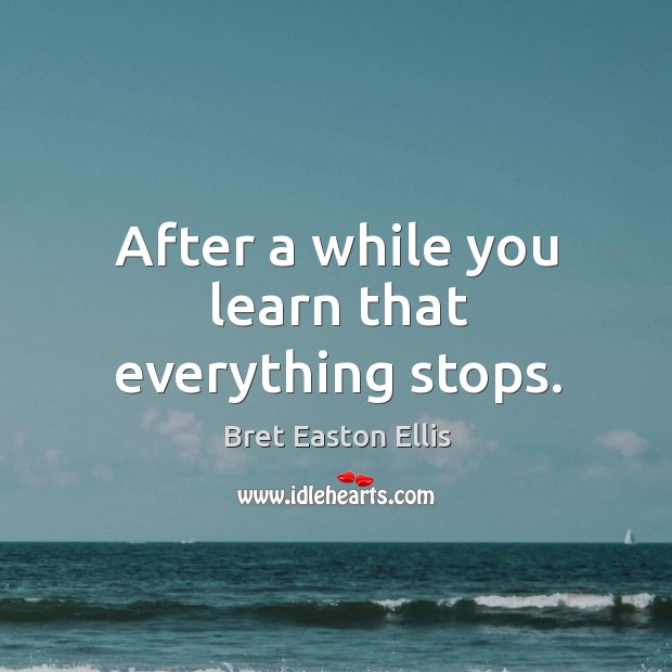 After a while you learn that everything stops. Bret Easton Ellis Picture Quote