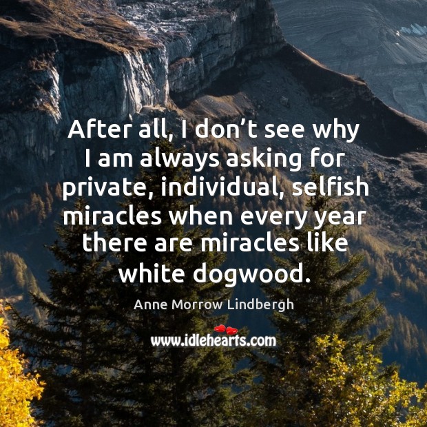 After all, I don’t see why I am always asking for private Anne Morrow Lindbergh Picture Quote