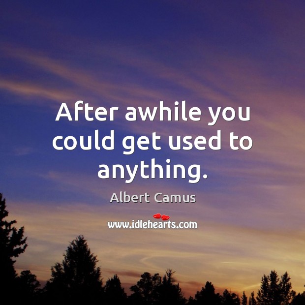 After awhile you could get used to anything. Image