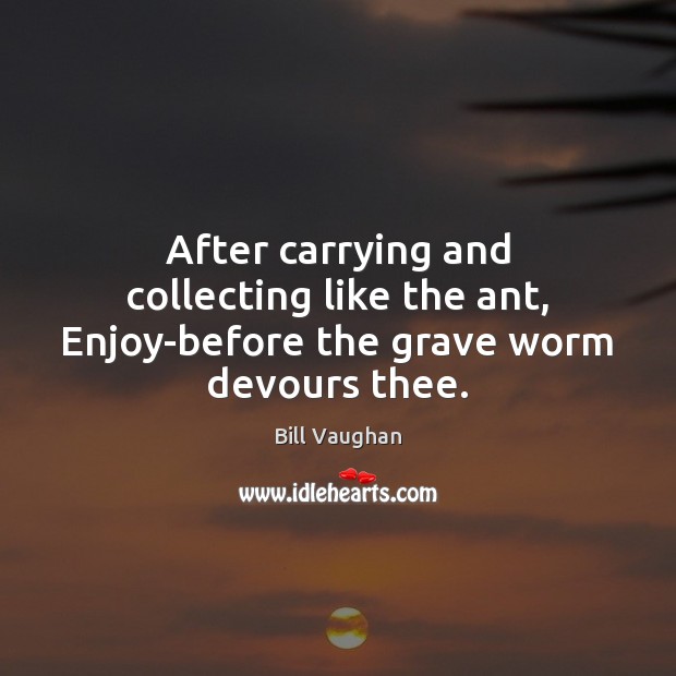 After carrying and collecting like the ant, Enjoy-before the grave worm devours thee. Bill Vaughan Picture Quote