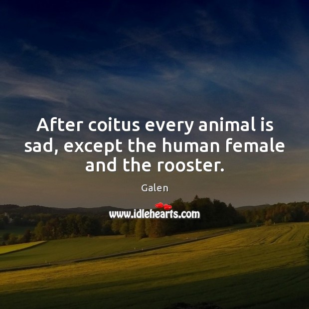 After coitus every animal is sad, except the human female and the rooster. Galen Picture Quote