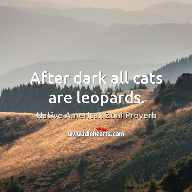 After dark all cats are leopards. Image