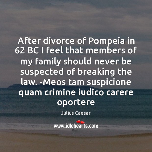 After divorce of Pompeia in 62 BC I feel that members of my Julius Caesar Picture Quote