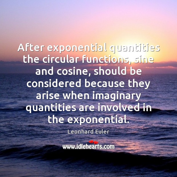 After exponential quantities the circular functions, sine and cosine, should be considered Leonhard Euler Picture Quote