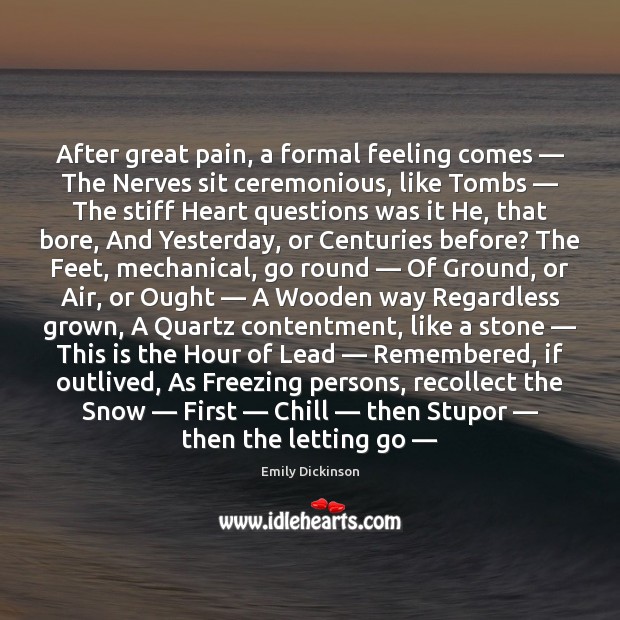 After great pain, a formal feeling comes — The Nerves sit ceremonious, like Letting Go Quotes Image