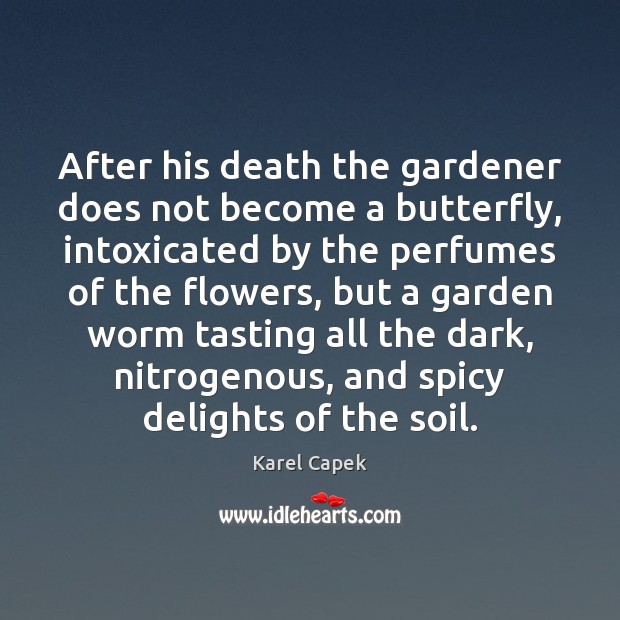 After his death the gardener does not become a butterfly, intoxicated by Karel Capek Picture Quote
