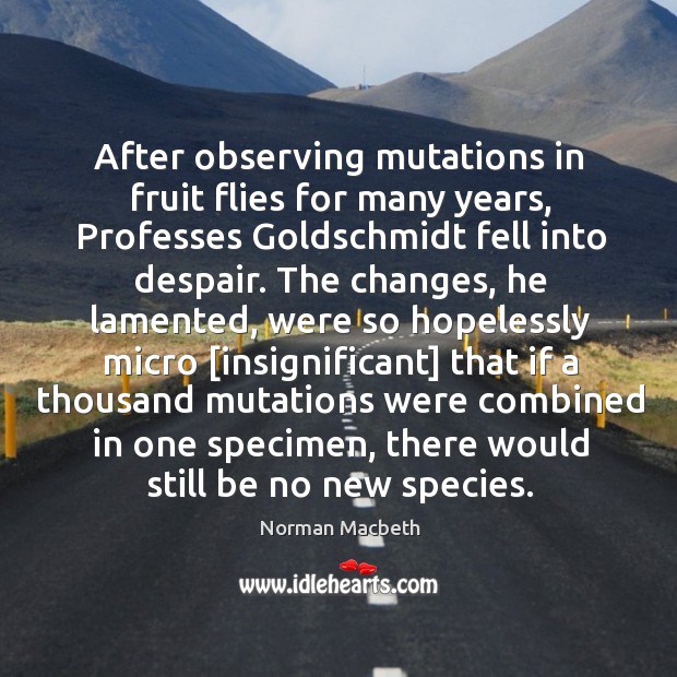After observing mutations in fruit flies for many years, Professes Goldschmidt fell Norman Macbeth Picture Quote