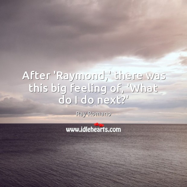 After ‘Raymond,’ there was this big feeling of, ‘What do I do next?’ Ray Romano Picture Quote
