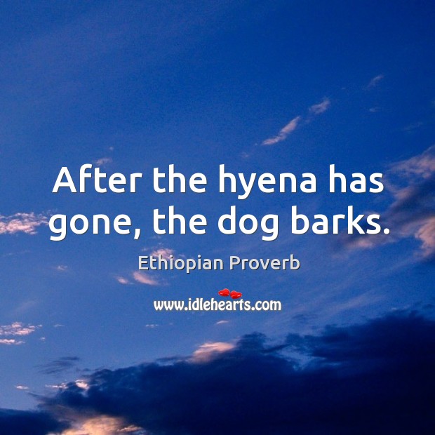 After the hyena has gone, the dog barks. Ethiopian Proverbs Image
