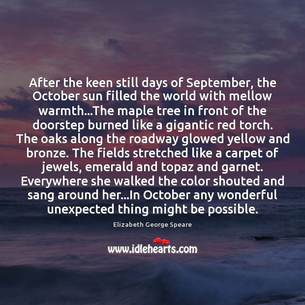 After the keen still days of September, the October sun filled the Image