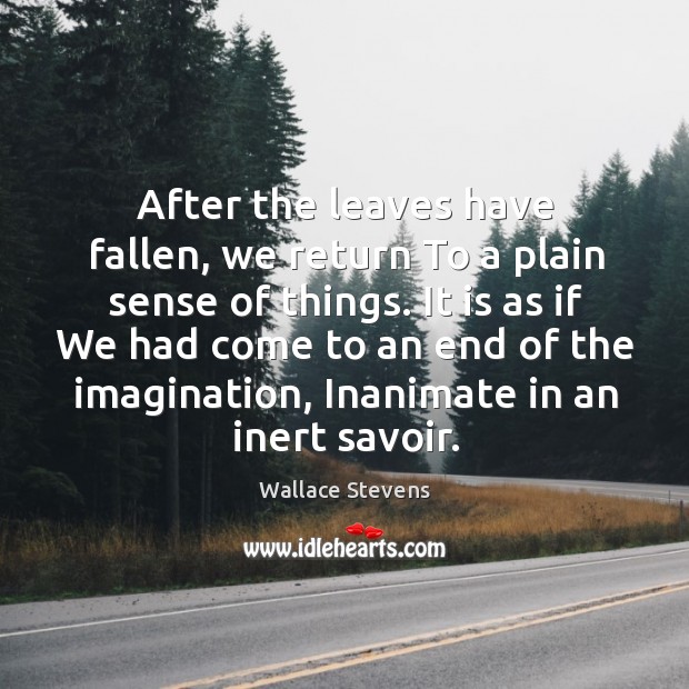 After the leaves have fallen, we return To a plain sense of Wallace Stevens Picture Quote