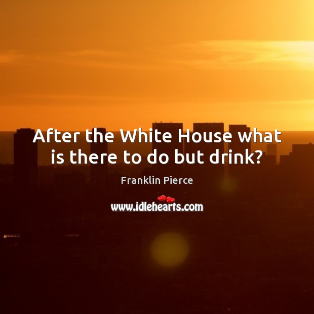 After the White House what is there to do but drink? Franklin Pierce Picture Quote