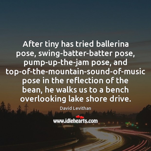 After tiny has tried ballerina pose, swing-batter-batter pose, pump-up-the-jam pose, and top-of-the-mountain-sound-of-music David Levithan Picture Quote
