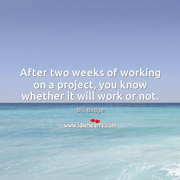 After two weeks of working on a project, you know whether it will work or not. Bill Budge Picture Quote