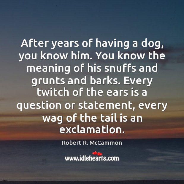 After years of having a dog, you know him. You know the Robert R. McCammon Picture Quote