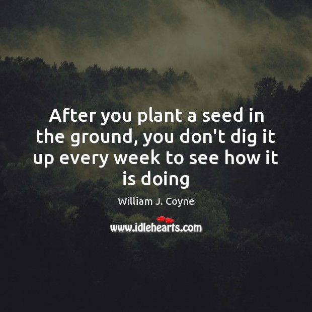 After you plant a seed in the ground, you don’t dig it William J. Coyne Picture Quote