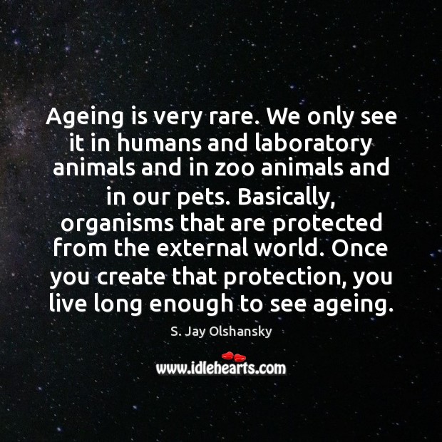 Ageing is very rare. We only see it in humans and laboratory Image