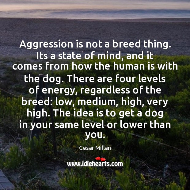 Aggression is not a breed thing. Its a state of mind, and 