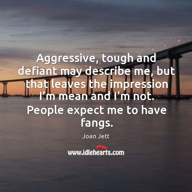 Aggressive, tough and defiant may describe me, but that leaves the impression I’m mean and I’m not. Image